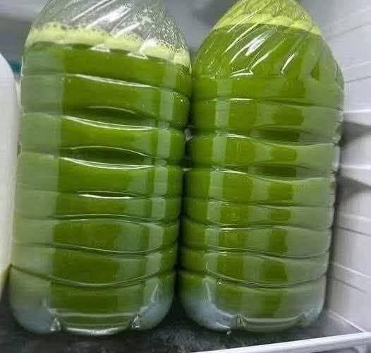Homemade Fresh Green Juice